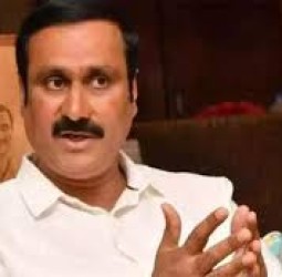 சிதம்பரம் அண்ணாமலை பல்கலை., தற்காலிக பணியாளர்களை பணி நிலைப்பு செய்ய வேண்டும்: அன்புமணி