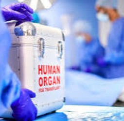 கிட்னியை விற்பனை செய்தவர் வெளியிட்ட ஆடியோ வைரல் - நாமக்கல் சுகாதாரத் துறையினர் ஆய்வு