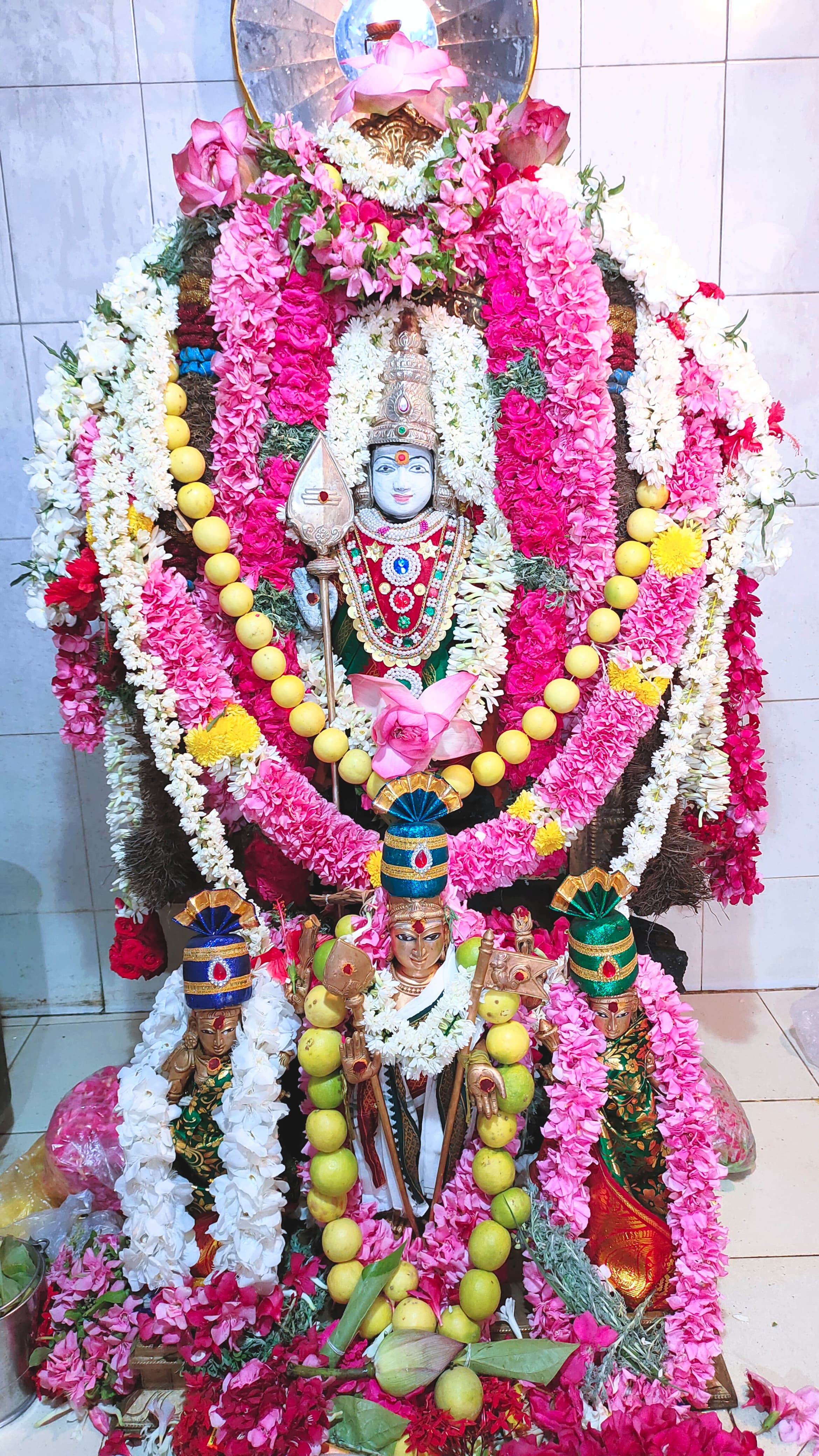 பாசூர் அருள்மிகு ஸ்ரீ காந்தமலை பாலமுருகன் ஆலயத்தில் ஆடி கிருத்திகை பூஜை