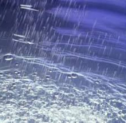 என்ன சொல்லி விழுகிறது மழைத்துளி !