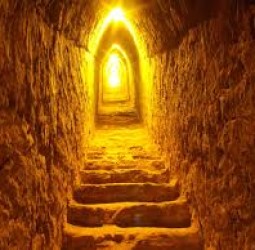 போலித் தோற்றங்கள்