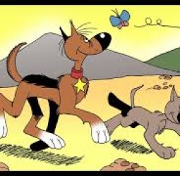 கடைசில இப்படி ஆயிடுச்சே.