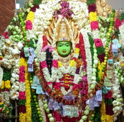 சந்தூர் தாமரை செல்லியம்மன் கோவிலில் 3ம் ஆண்டு திருவிழா