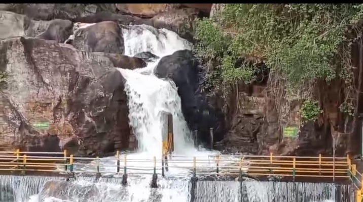 மணிமுத்தாறு அருவியில் குளிக்க தடை