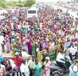 ஸ்டெர்லைட் ஆலைக்கு ஆதரவாக திரண்ட மக்கள்: கலெக்டர் அலுவலகம் முன் கூடிய 5,000 பேர்!