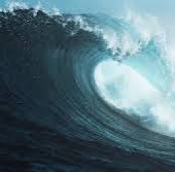 சீற்றம்