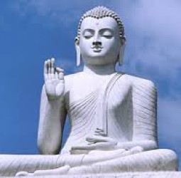 விதிவலையில் புத்தர்