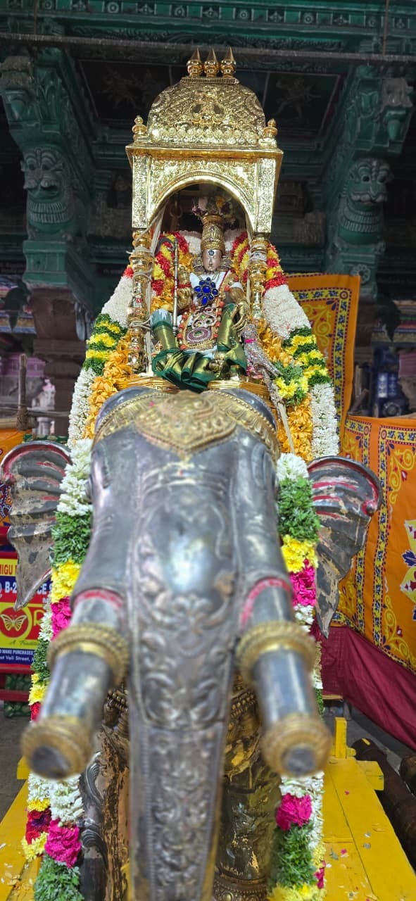 துரை மீனாட்சி அம்மன் கோயிலில் ஆடி முளைக்கொட்டுத் திருவிழா