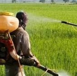 உற்பத்தியை அதிகரிக்க ரூ.24,000 கோடி திட்டம்: மத்திய அமைச்சரவை ஒப்புதல்