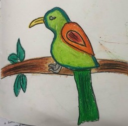 S.V .Vandana கைவண்ணம்