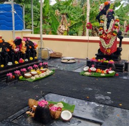 தோட்டக்காடு ஸ்ரீகருப்பண்ணசாமி, கன்னிமார் சாமிகளுக்கு ஆடி அமாவாசையை முன்னிட்டு சிறப்பு பூஜை