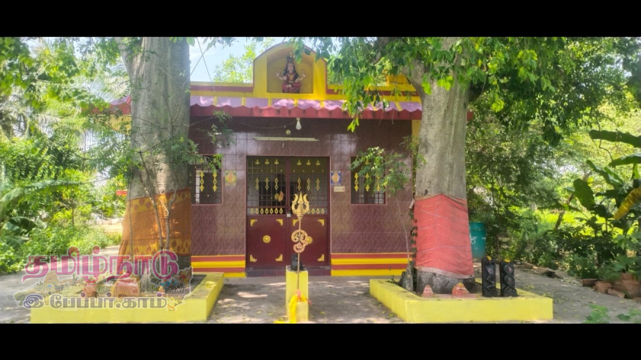 எங்கள் ஊர் மாரியம்மன் கோவில் சிறப்பு