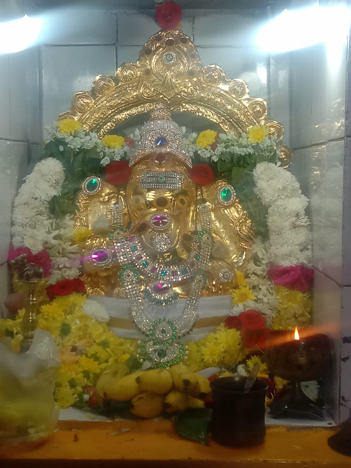 காட்பாடி ஸ்ரீ வரசித்தி விநாயகர் கோவிலில் சங்கடஹர சதுர்த்தி விழா!