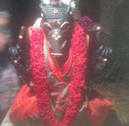 திருவத்தி மலை வாராகி அம்மன் அமாவாசை பூஜை