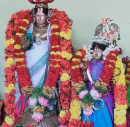 சிறப்பு அலங்காரத்துடன், நித்ய கல்யாண பெருமாள், ஆண்டாள்