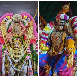 கருட சேவை உற்சவம்.....