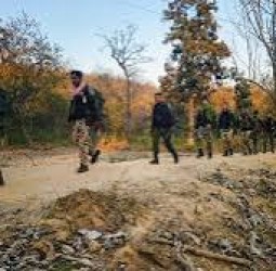 பாதுகாப்புப் படையினர் நடத்திய என்கவுன்ட்டரில் சத்தீஸ்கர், ஜார்க்கண்டில் 7 மாவோயிஸ்ட்கள் உயிரிழப்பு