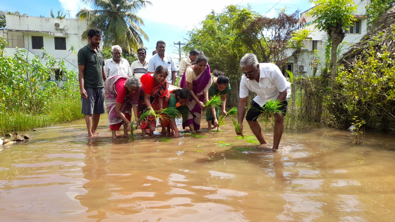 சேதமடைந்த சாலைகளை சீரமைக்க வலியுறுத்தி பொதுமக்கள் நாற்று நட்டு நூதன போராட்டம்