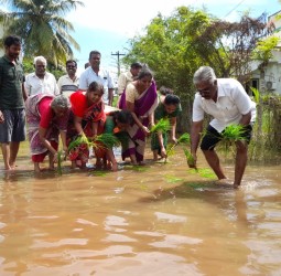 சேதமடைந்த சாலைகளை சீரமைக்க வலியுறுத்தி பொதுமக்கள் நாற்று நட்டு நூதன போராட்டம்
