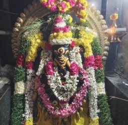 சங்கடஹர சதுர்த்தி சிறப்பு வழிபாடு...