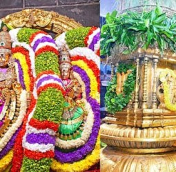 திருவண்ணாமலை கார்த்திகை தீபத் திருவிழா கொடியேற்றத்துடன் தொடக்கம் - திரளான பக்தர்கள் வழிபாடு