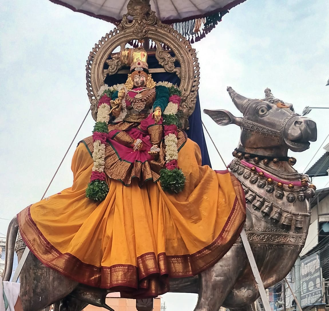 நெல்லையப்பர் கோவில் ஐப்பசி திருக்கல்யாண திருவிழா