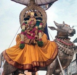 நெல்லையப்பர் கோவில் ஐப்பசி திருக்கல்யாண திருவிழா