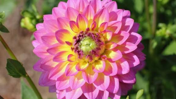 பூக்கின்ற மலரெல்லாம்