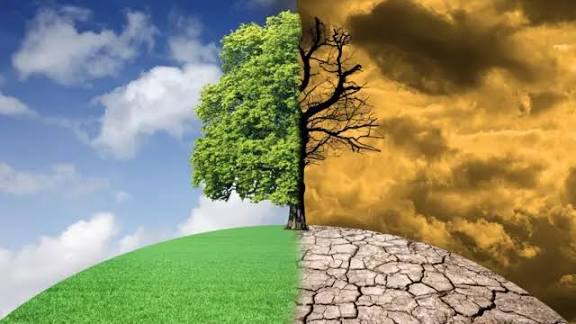 காலநிலை மாற்றம் குறித்த ஆய்வகம் அமைக்கும் பணியை துவக்கியது அரசு