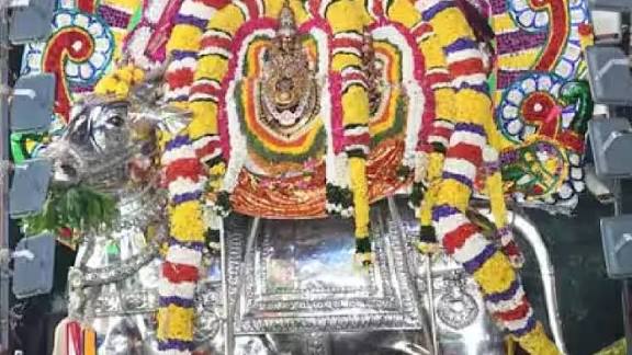 அண்ணாமலையார் கோயிலில் வெள்ளி யானை வாகனத்தில் உலா வந்த சுவாமி – தாயார்!