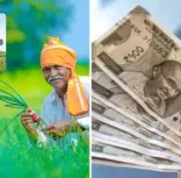 பி.எம். கிசான் லிங்க்-இல் நுழைந்ததால் ரூ.10 லட்சம் மாயம்