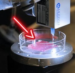 பேப்பரை பிரிண்ட் பண்ற மாதிரி மனுஷ தோலையும் பிரிண்ட் பண்ணலாமா? அமெரிக்க ராணுவத்தின் அதிரடி கண்டுபிடிப்பு!