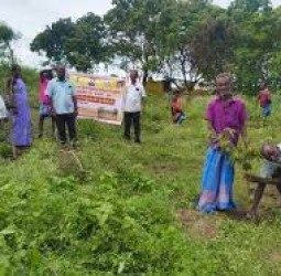 வலங்கைமானில் 2700 மரக்கன்றுகள் நடும் பணி துவக்கம்.