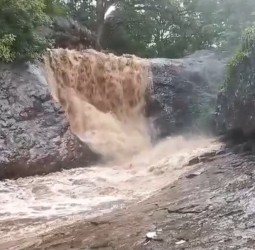 தொடர்மழை காரணமாக செண்பகத்தோப்பு மீன்வெட்டிப்பாறை அருவியில் வெள்ளப்பெருக்கு