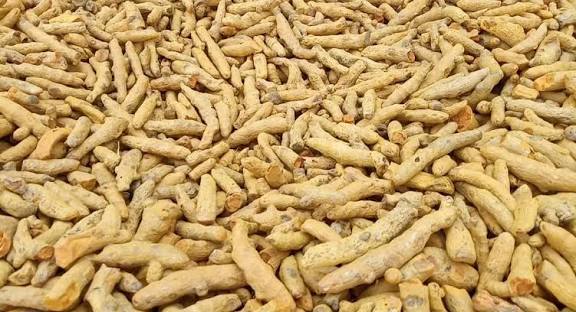 மஞ்சள் விலை உயர்வு: விவசாயிகள் மகிழ்ச்சி