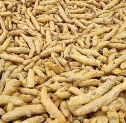 மஞ்சள் விலை உயர்வு: விவசாயிகள் மகிழ்ச்சி