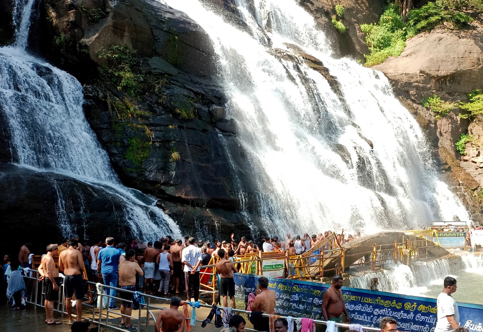 குற்றாலத்தில் அனைத்து அருவிகளிலும் சுற்றுலாப் பயணிகள் கூட்டம்