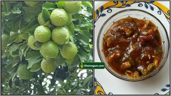 நார்த்தங்காய் பச்சடி