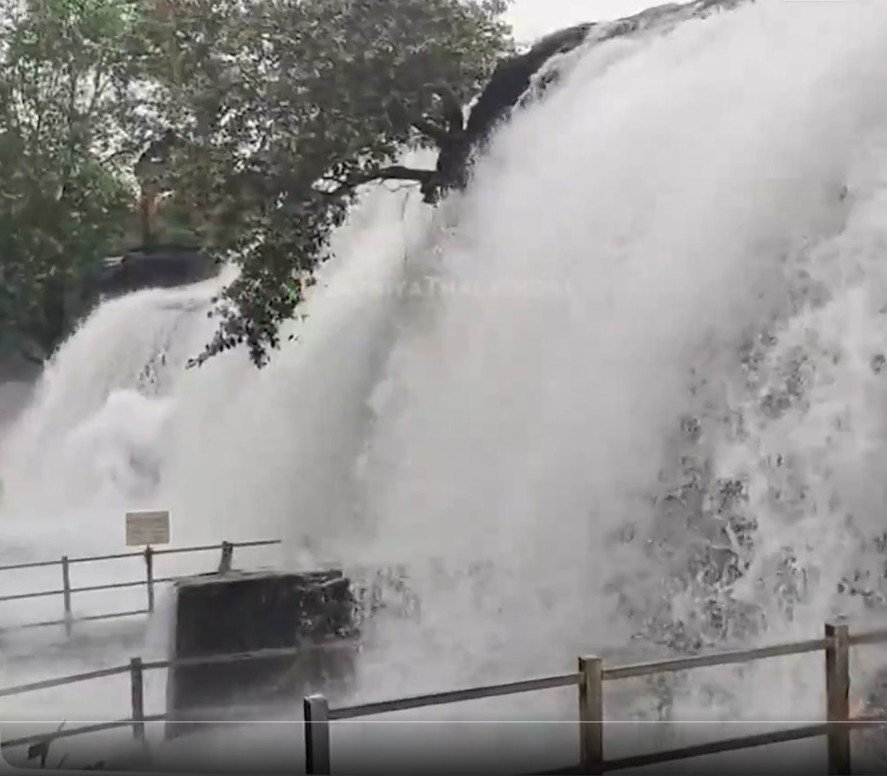 குமரி மாவட்டத்தில் தொடர் மழையால் திற்பரப்பு அருவியில் வெள்ளம்