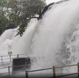 குமரி மாவட்டத்தில் தொடர் மழையால் திற்பரப்பு அருவியில் வெள்ளம்