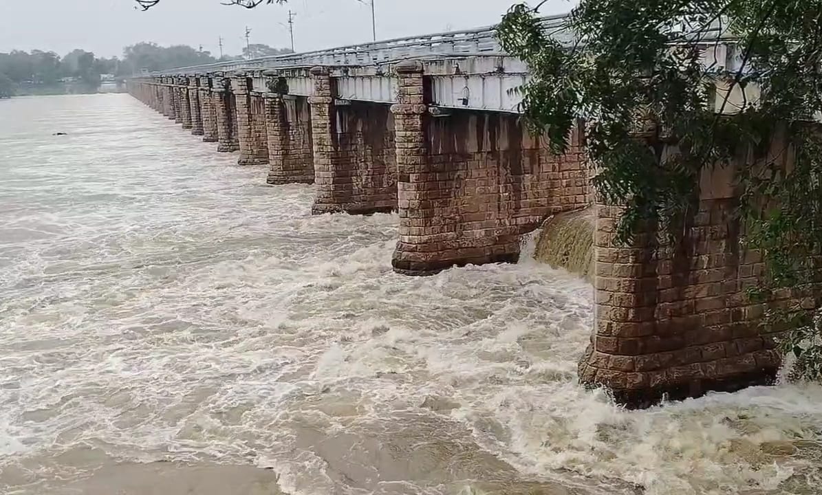 தொடர் மழையால் தாமிரபரணி ஆற்றில் வெள்ளப் பெருக்கு