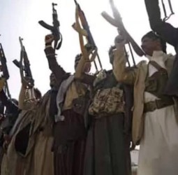 ஜம்மு - காஷ்மீரில் தாக்குதல் நடத்த பாக்., பயங்கரவாதிகள் சதித்திட்டம்; உளவுத் துறை எச்சரிக்கை