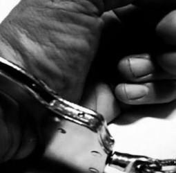 ஐ.டி. ஊழியர்களிடம் செல்போன்களை திருடிய முன்னாள் ஊழியர் கைது