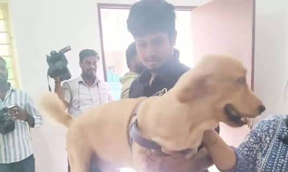 வளர்ப்பு நாய்களுக்கு மைக்ரோசிப் பொருத்த சென்னையில் 6 இடங்களில் முகாம் வெறிநாய்க்கடி நோய் தடுப்பூசியும் செலுத்தப்பட்டது