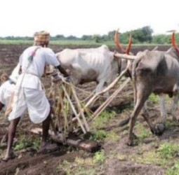 வேளாண்மை, கல்வி, சுகாதாரம் உள்ளிட்ட 8 பிரிவுகளில் சேவை புரிந்தோர் ராஜஸ்தானி- – தமிழ் சேவா விருதுகளுக்கு விண்ணப்பிக்கலாம்