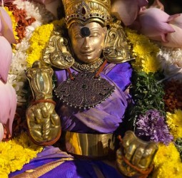 திருக்கார்த்திகை தீபத்திருவிழா-2025-மாலை-சுவாமி,அம்பாள் மரசிம்மாசனத்தில் திருக்கோயில் வலம்