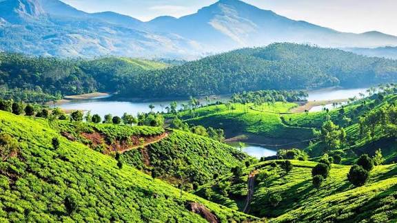 தென்னகத்தின் காஷ்மீர் மூணாறு: பார்க்க வேண்டிய இடங்கள் என்னென்ன?