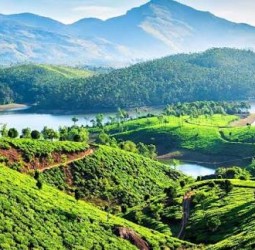 தென்னகத்தின் காஷ்மீர் மூணாறு: பார்க்க வேண்டிய இடங்கள் என்னென்ன?