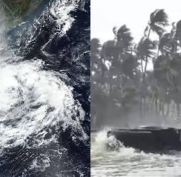 புயல் வந்தது!.