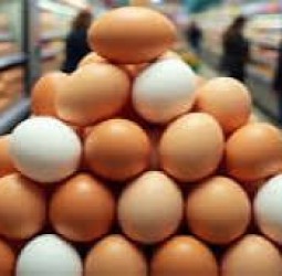 முட்டை விலை புதிய உச்சம்; காரணம் என்ன?